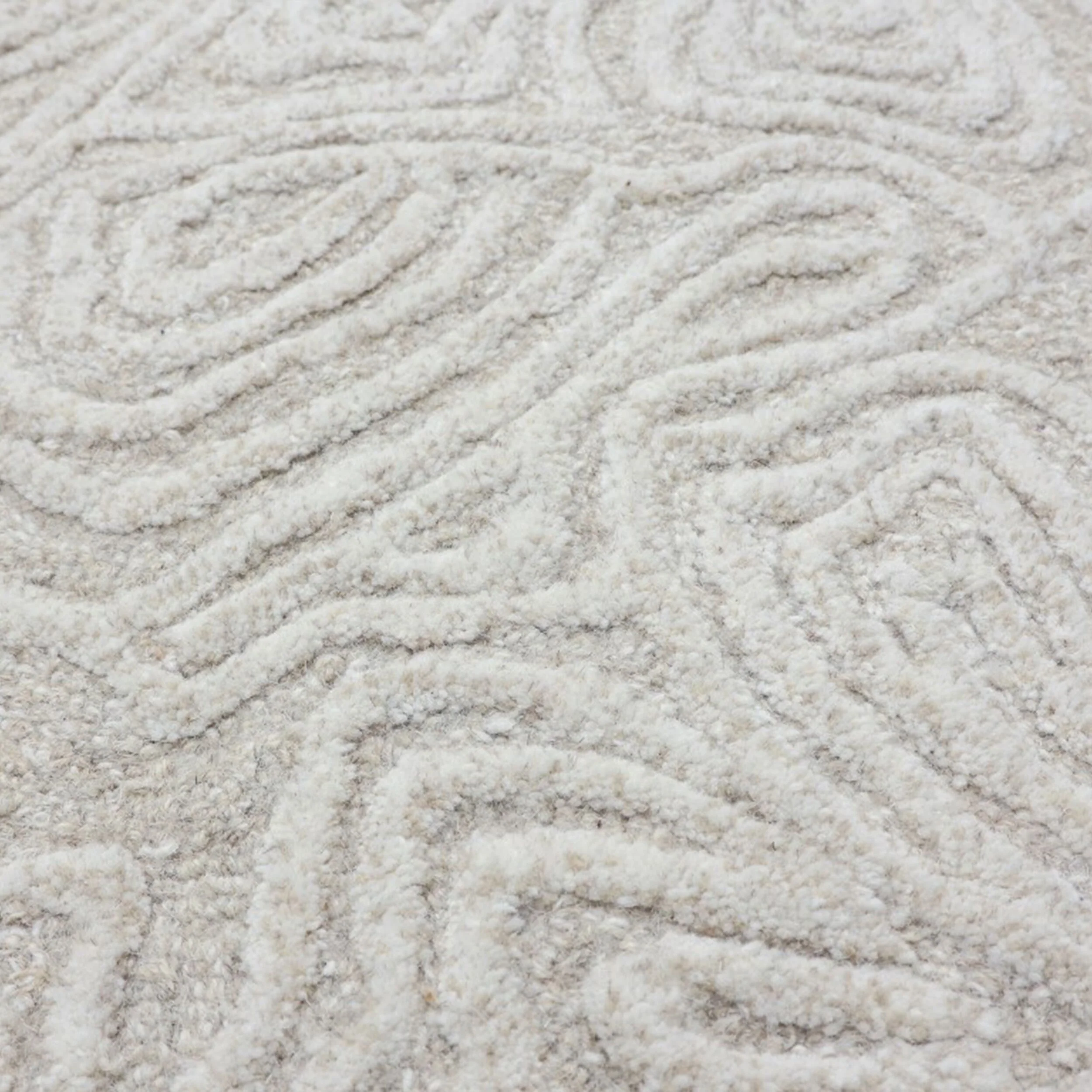 Floral Etchings Wool Rug 240x300cm