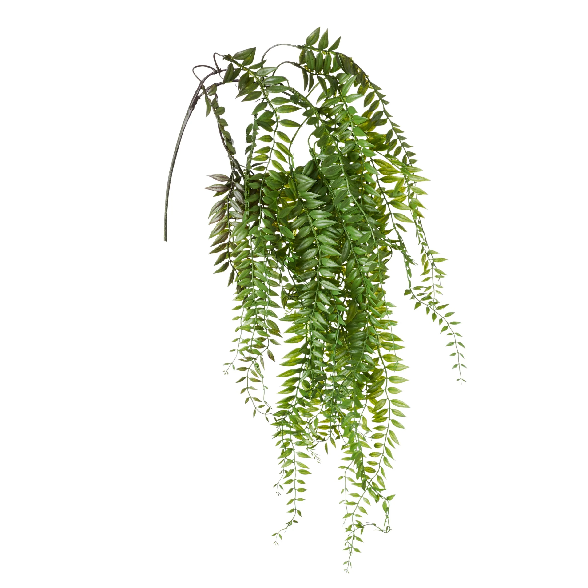 Acacia Vines 90cm