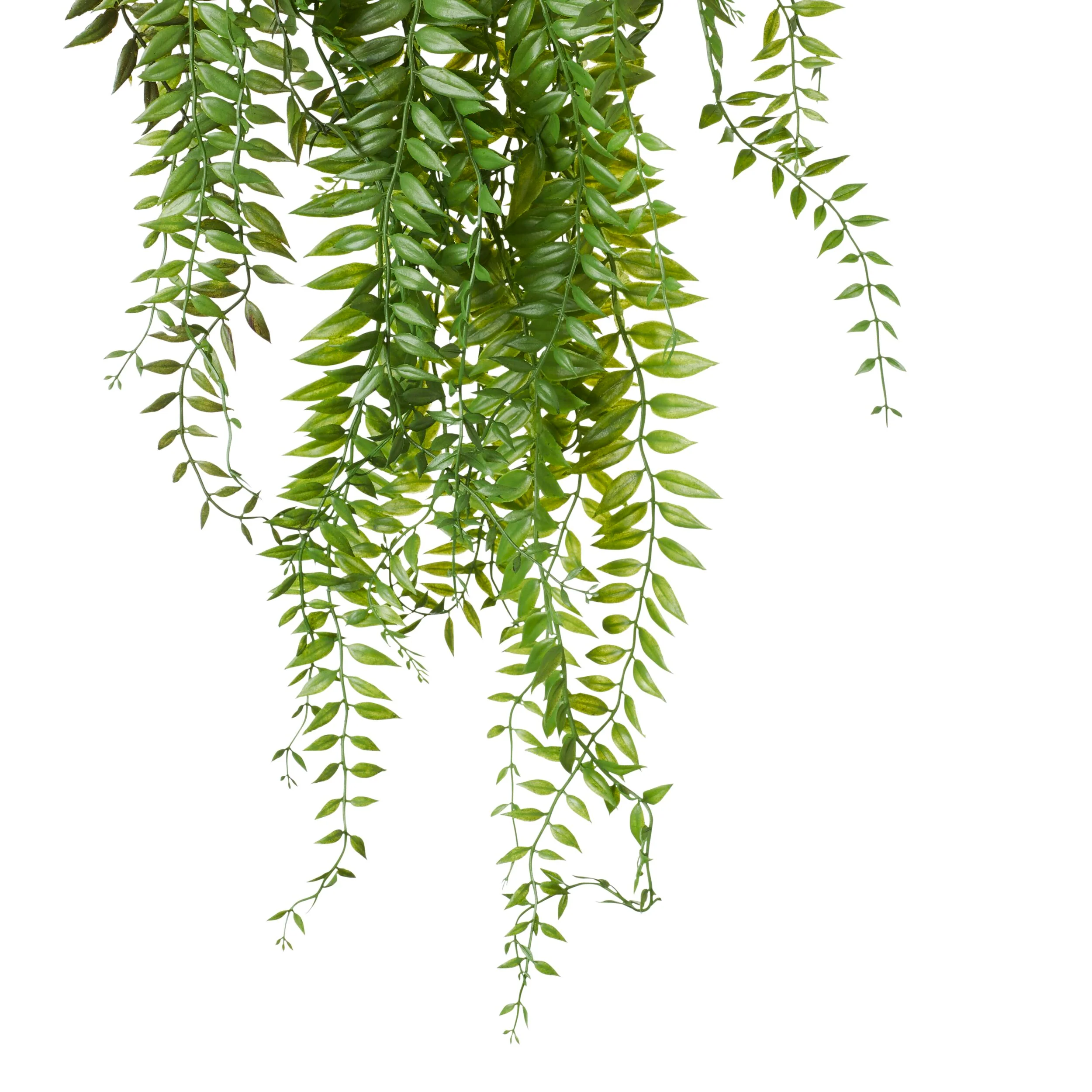 Acacia Vines 90cm