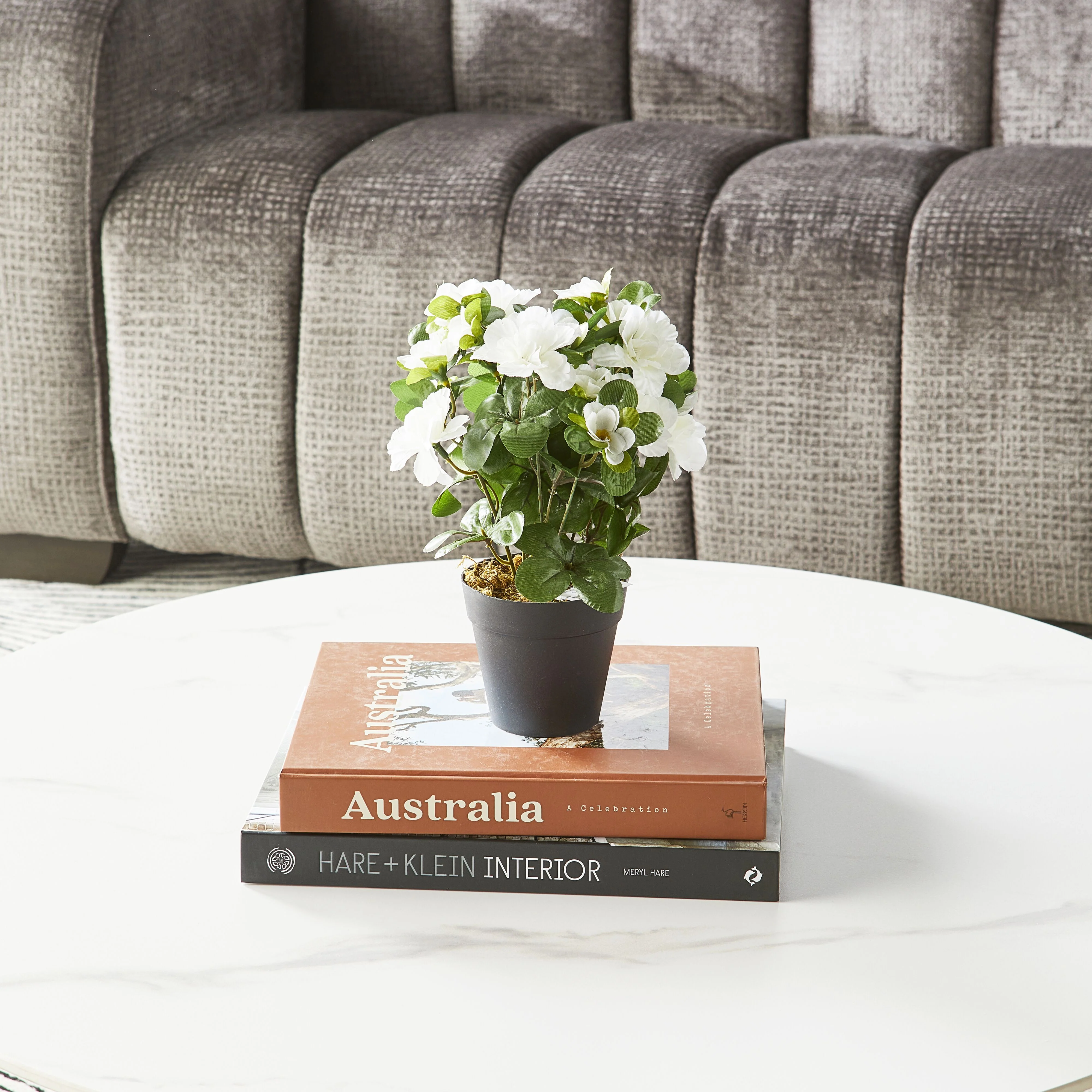 Floret Azalea In Pot 28CM