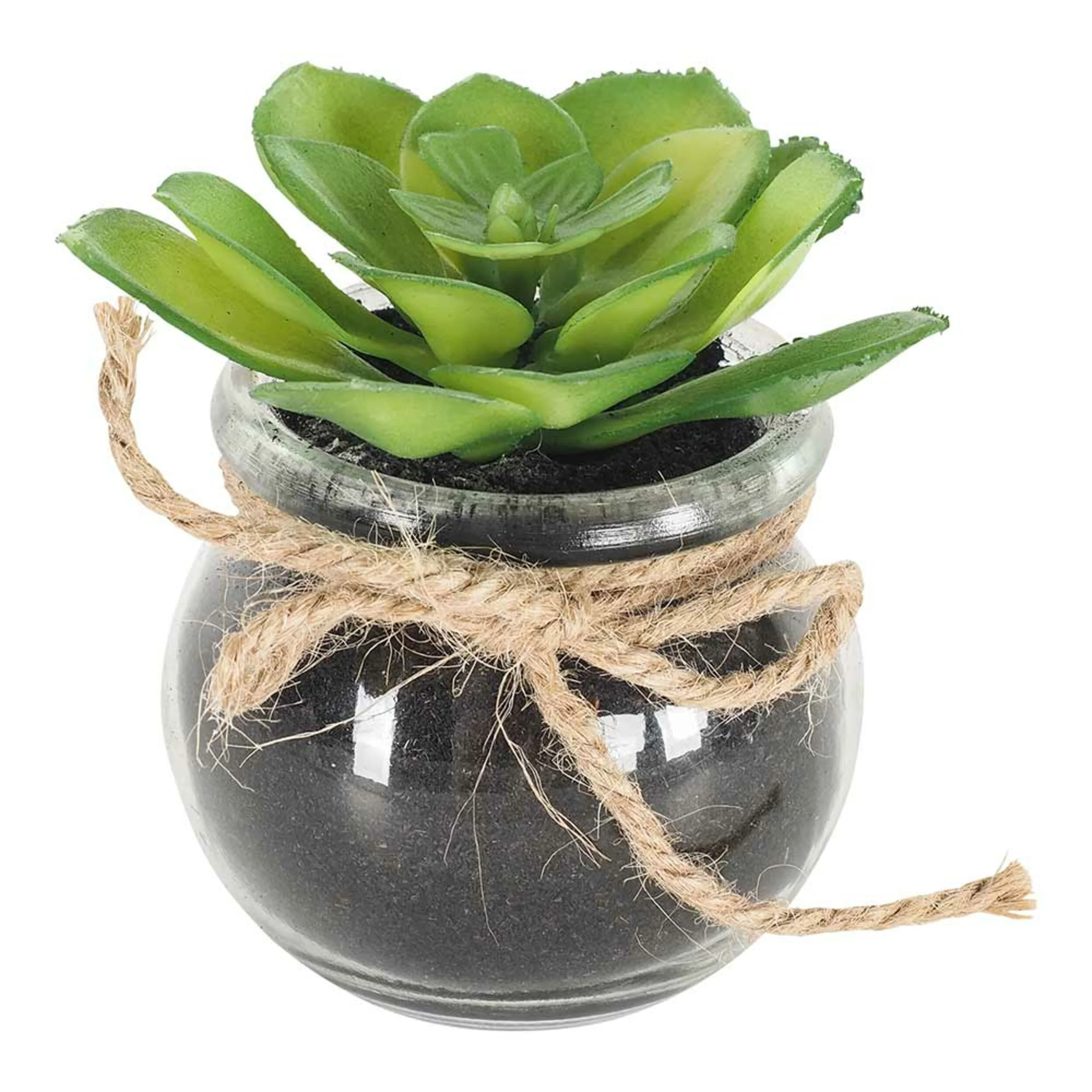 Floret Cactus Plant In Pot 9x9x8cm