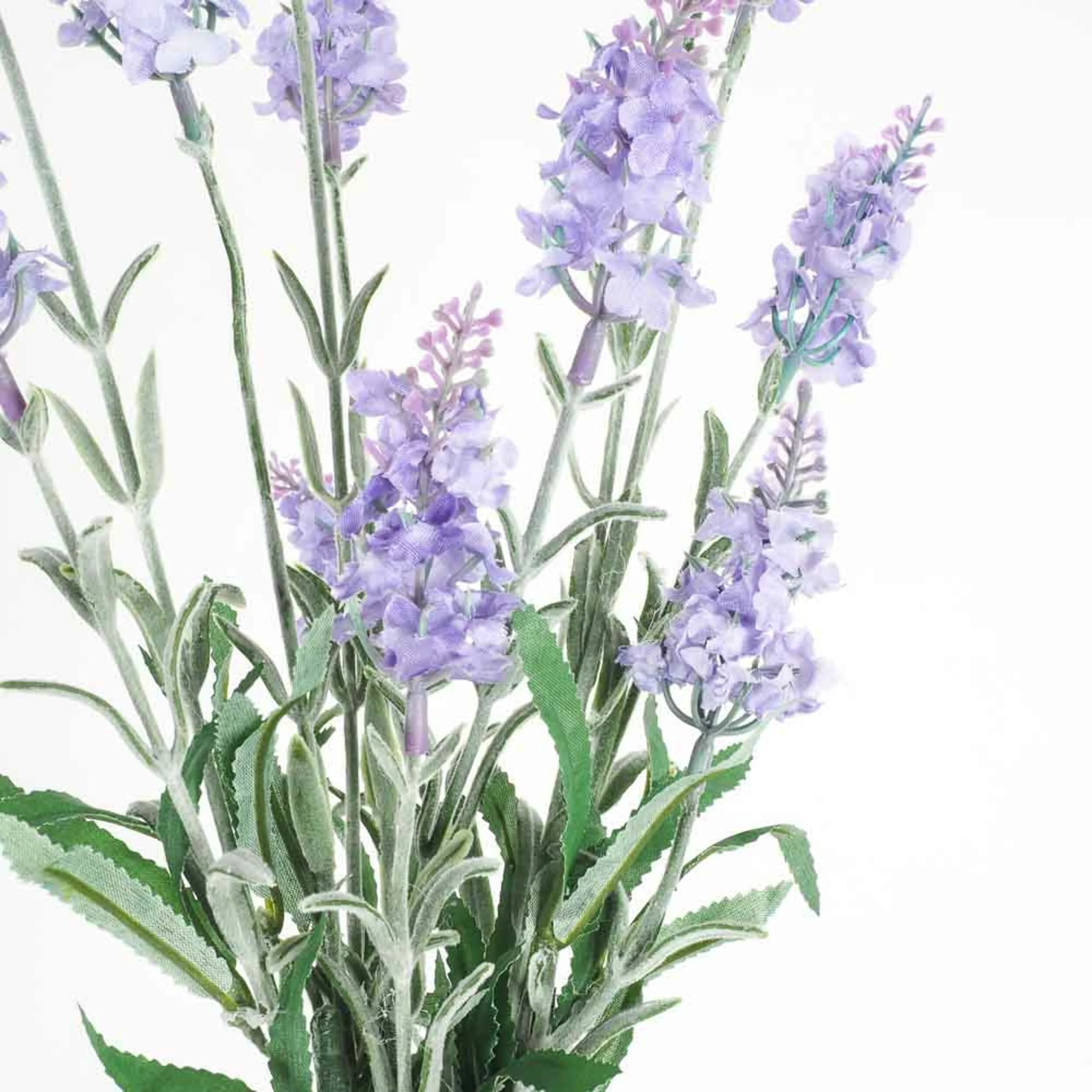 2418-floret-lavender-bush-72cm-2.webp Floret Lavender Bush 72cm
