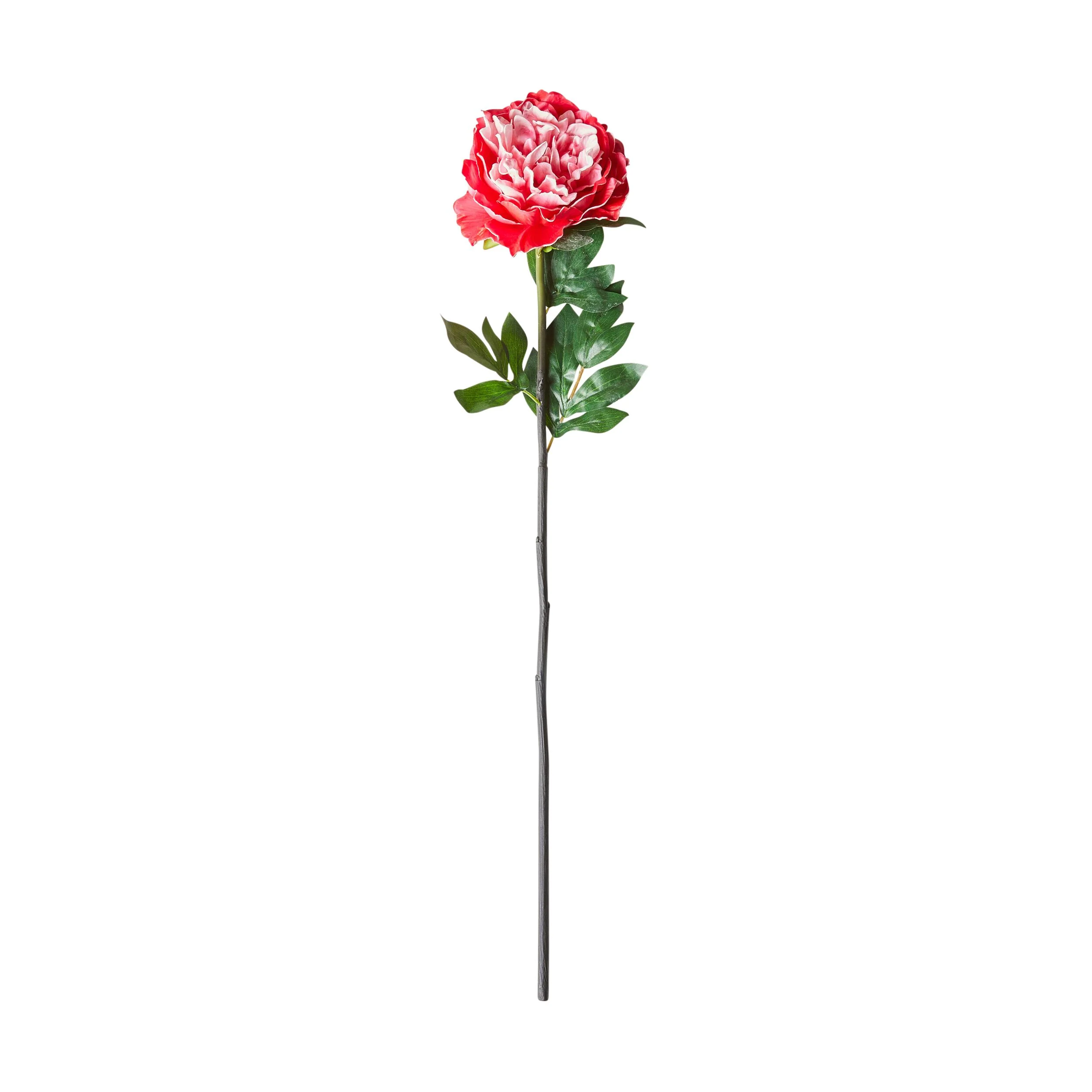 Floriana Peony Blush 98cm
