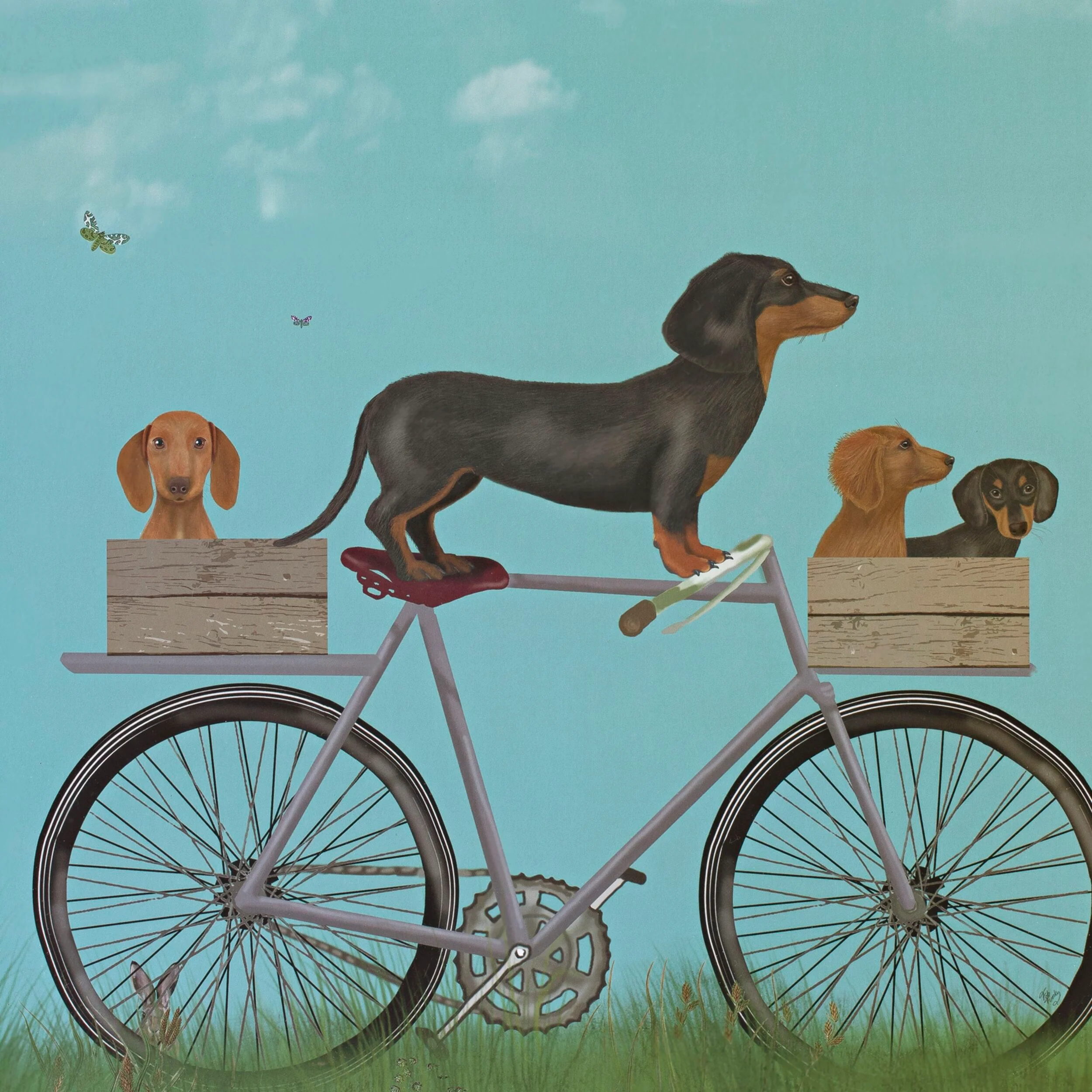 Dachshunds On Bicycle Framed Print 55x45cm