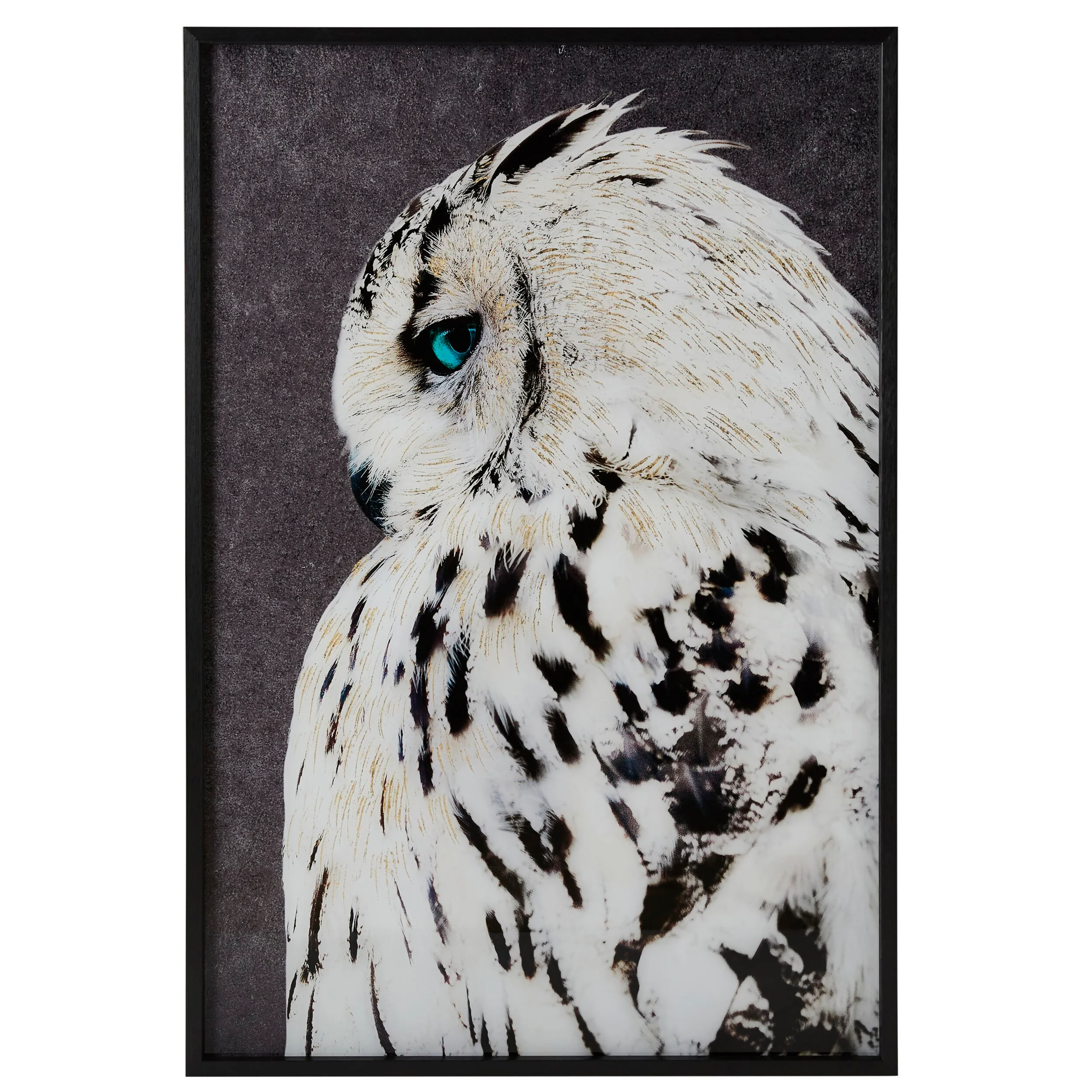 2610-snow-owl-framed-print-120x80cm-1.webp Snow Owl Framed Print 120x80cm