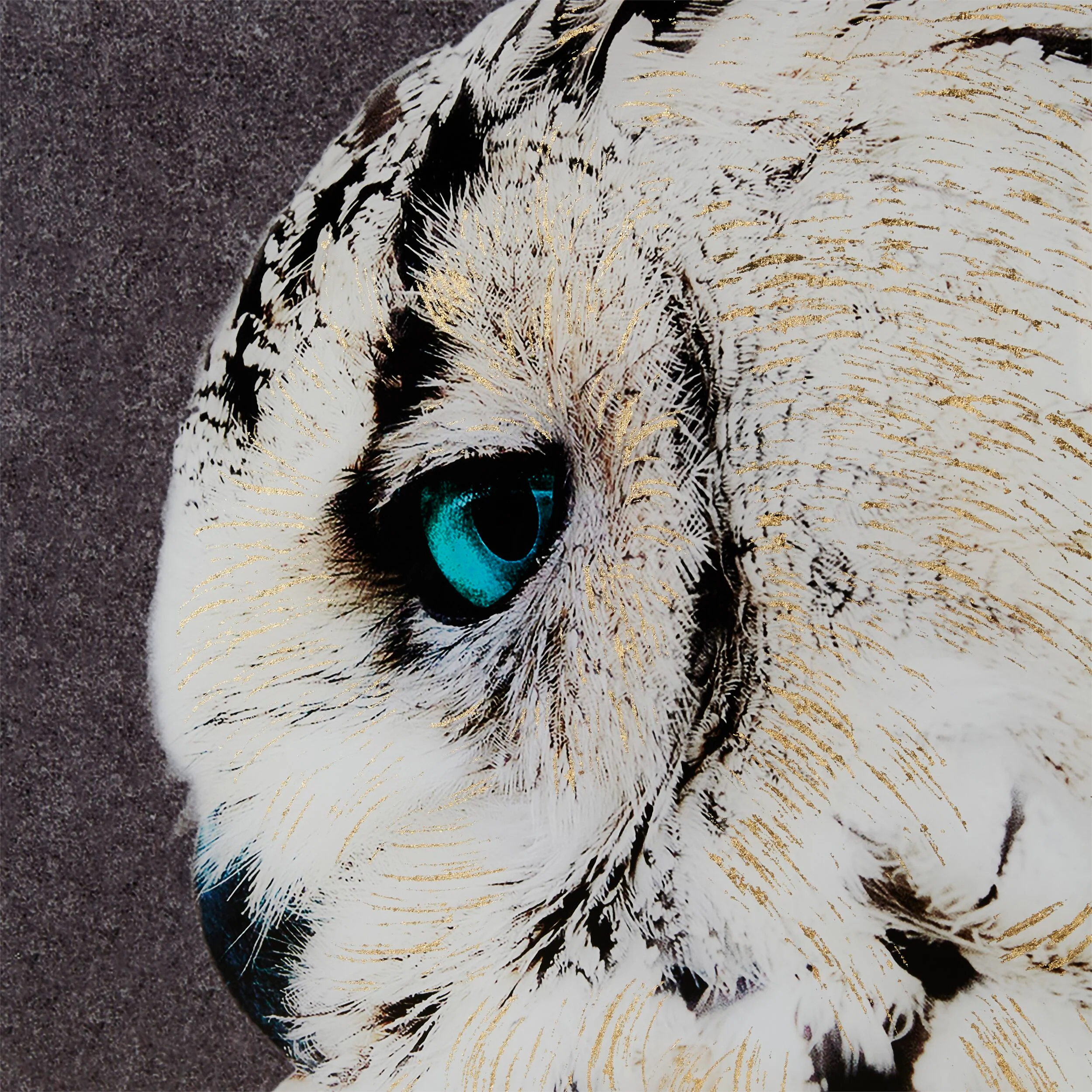 2610-snow-owl-framed-print-120x80cm-2.webp Snow Owl Framed Print 120x80cm