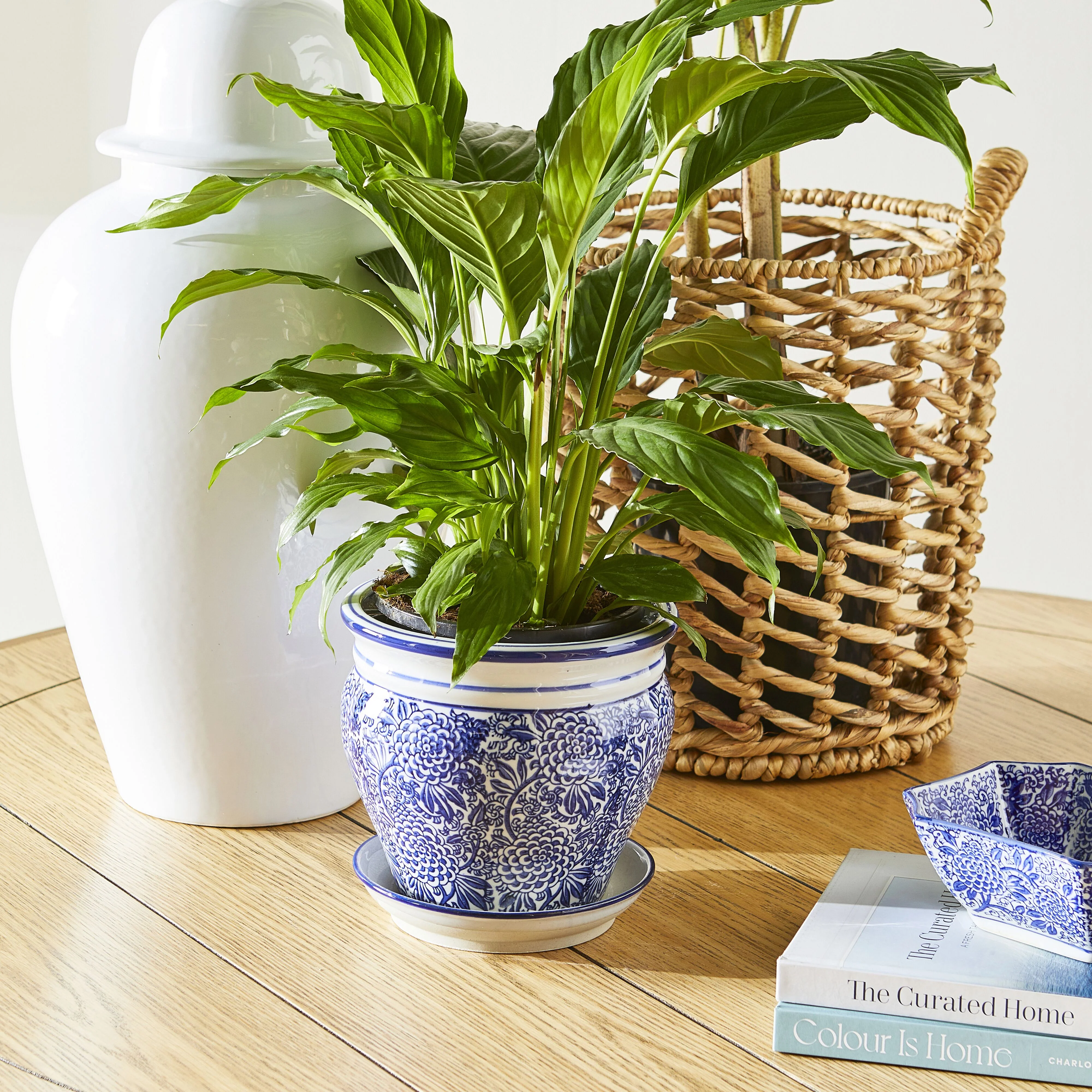 2678-celadon-magnolia-plant-pot-20x20x18cm-3.webp Celadon Magnolia Plant Pot 20x20x18cm