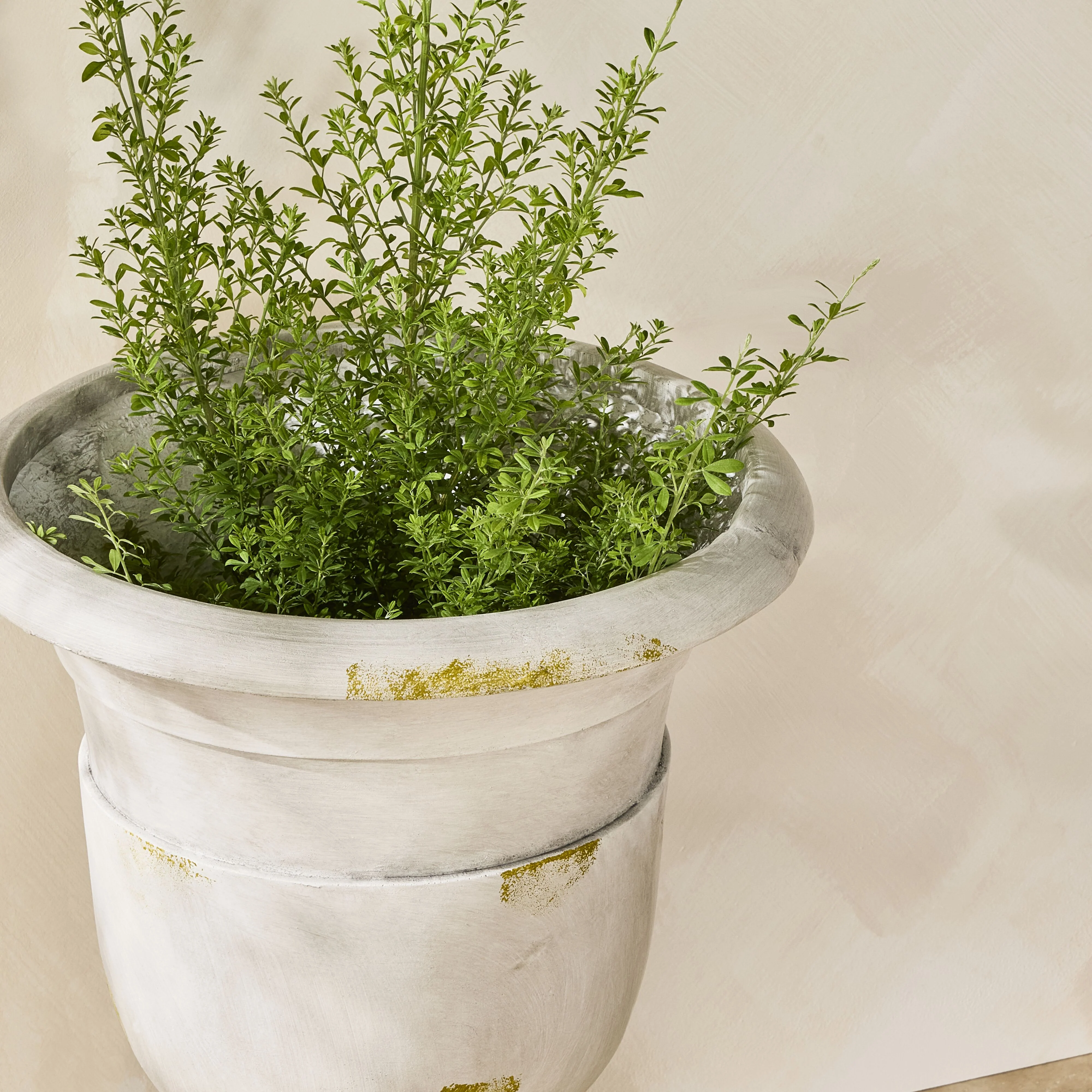 2771-noir-urn-concrete-41-5x41-5x61cm-6.webp Noir Urn Concrete 41.5x41.5x61cm
