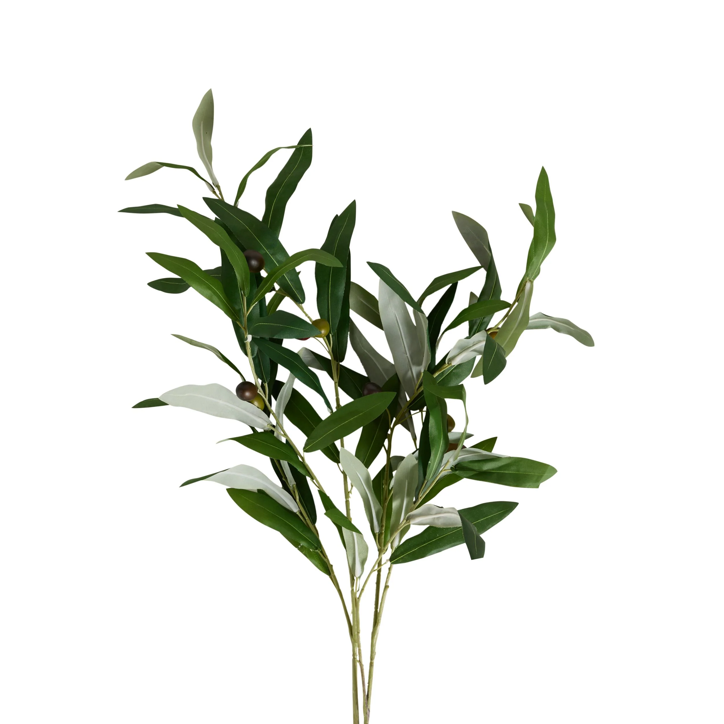 Bloomery Olive Branch Stem 85cm