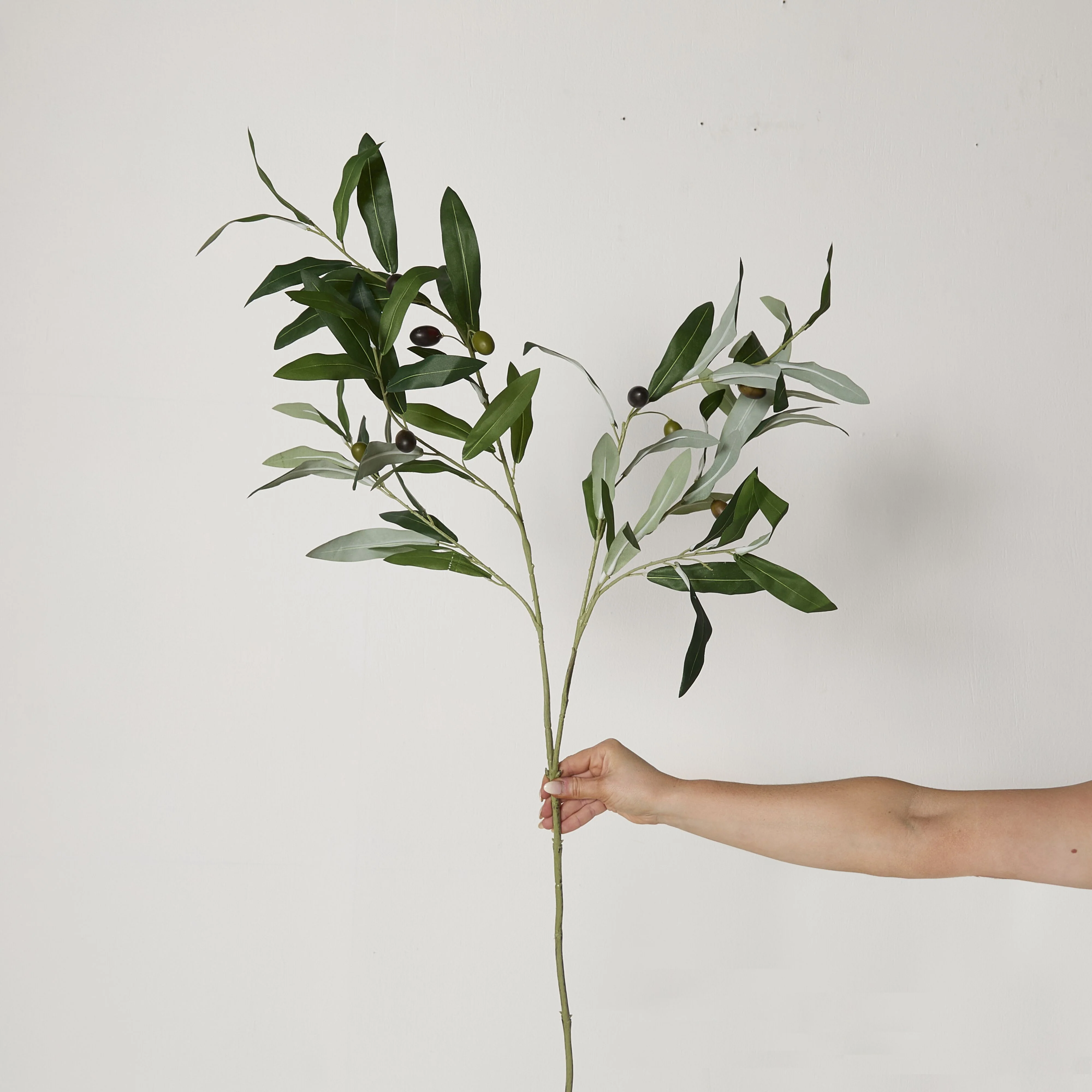 548-bloomery-olive-branch-stem-85cm-4.webp Bloomery Olive Branch Stem 85cm