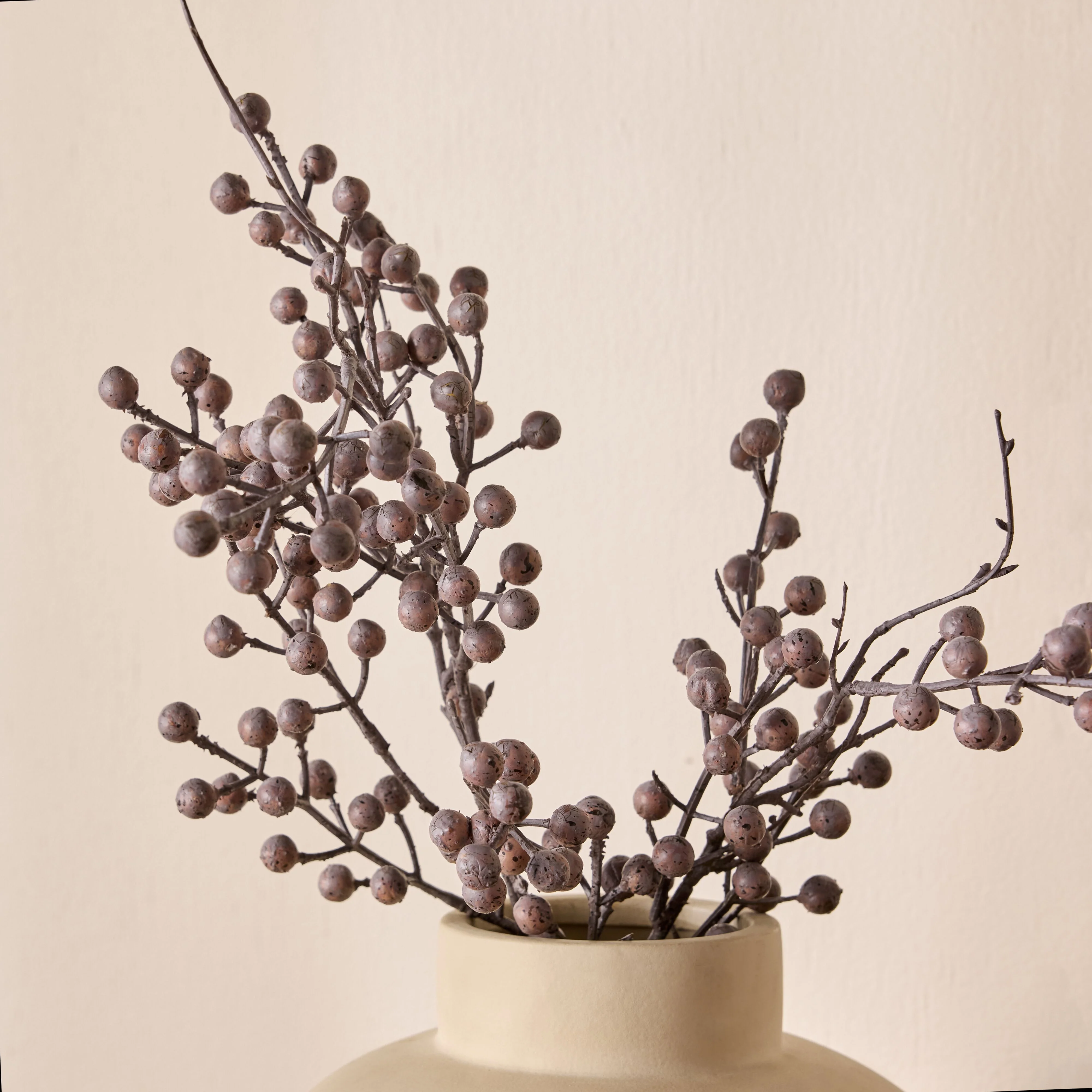 550-bloomery-dried-eucalyptus-pod-stem-74cm-4.webp Bloomery Dried Eucalyptus Pod Stem 74cm