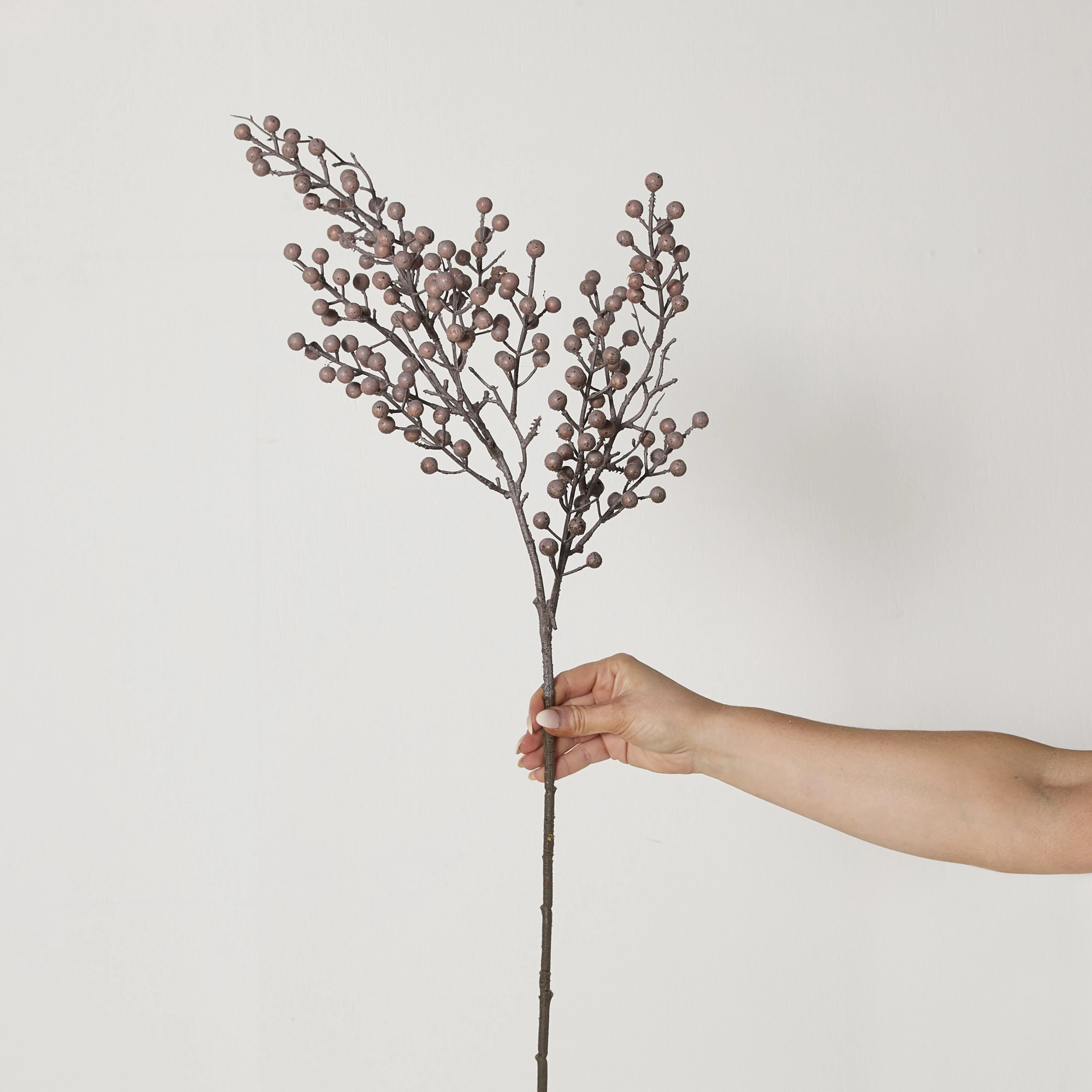550-bloomery-dried-eucalyptus-pod-stem-74cm-5.webp Bloomery Dried Eucalyptus Pod Stem 74cm