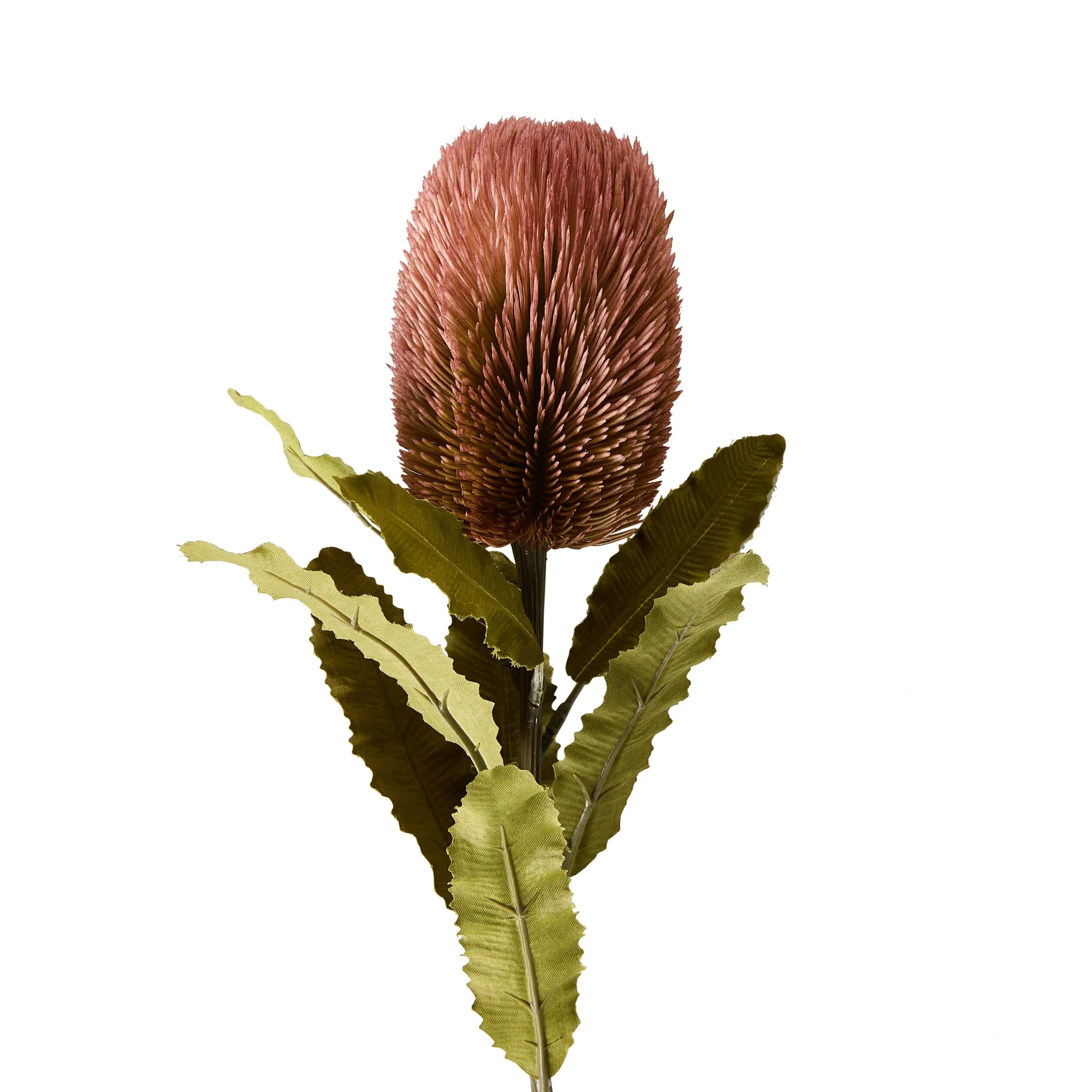 Bloomery Banksia Stem Pink 65cm