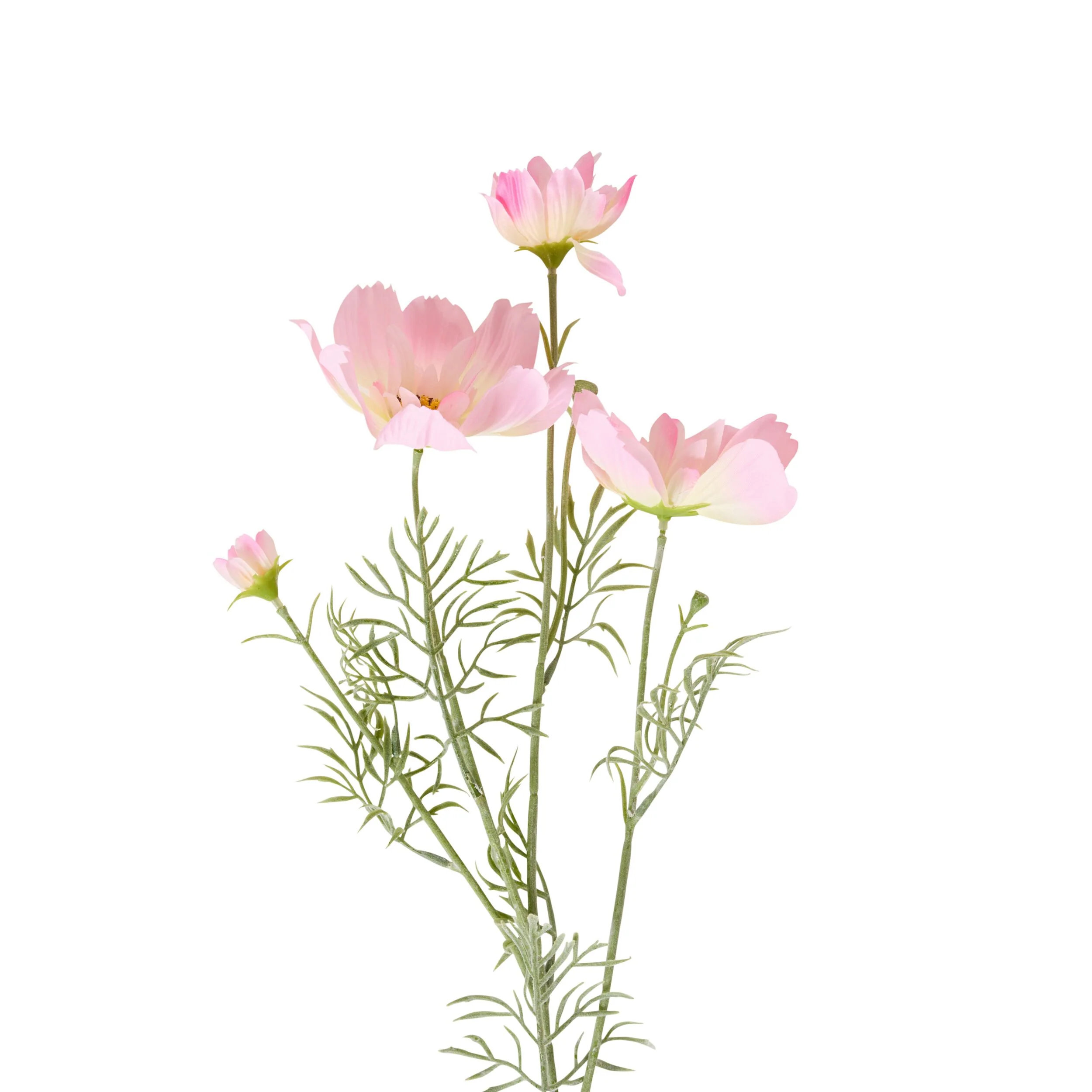 Bloomery Cosmos Stem Soft Pink 76cm