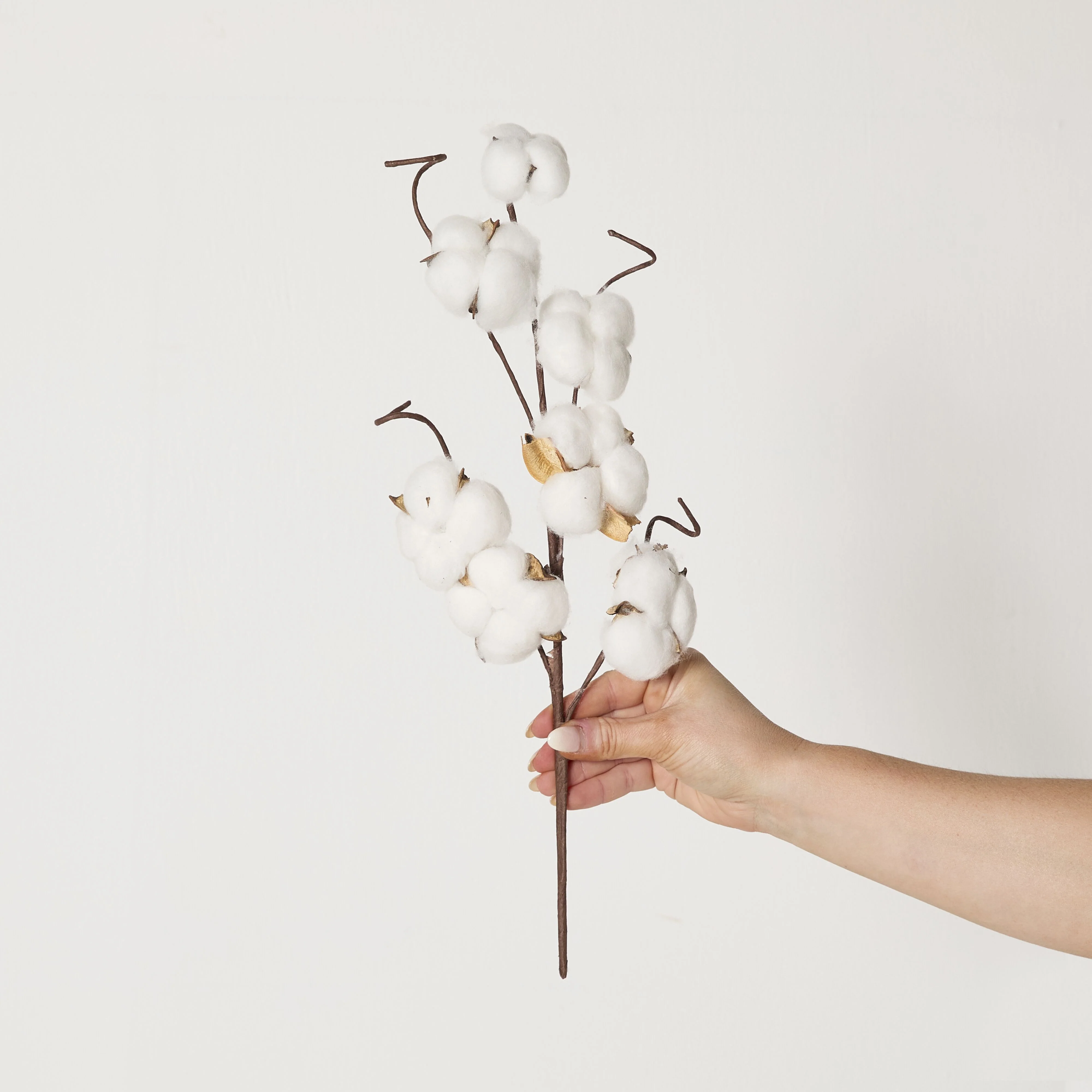 569-bloomery-cotton-stem-43cm-4.webp Bloomery Cotton Stem 43cm