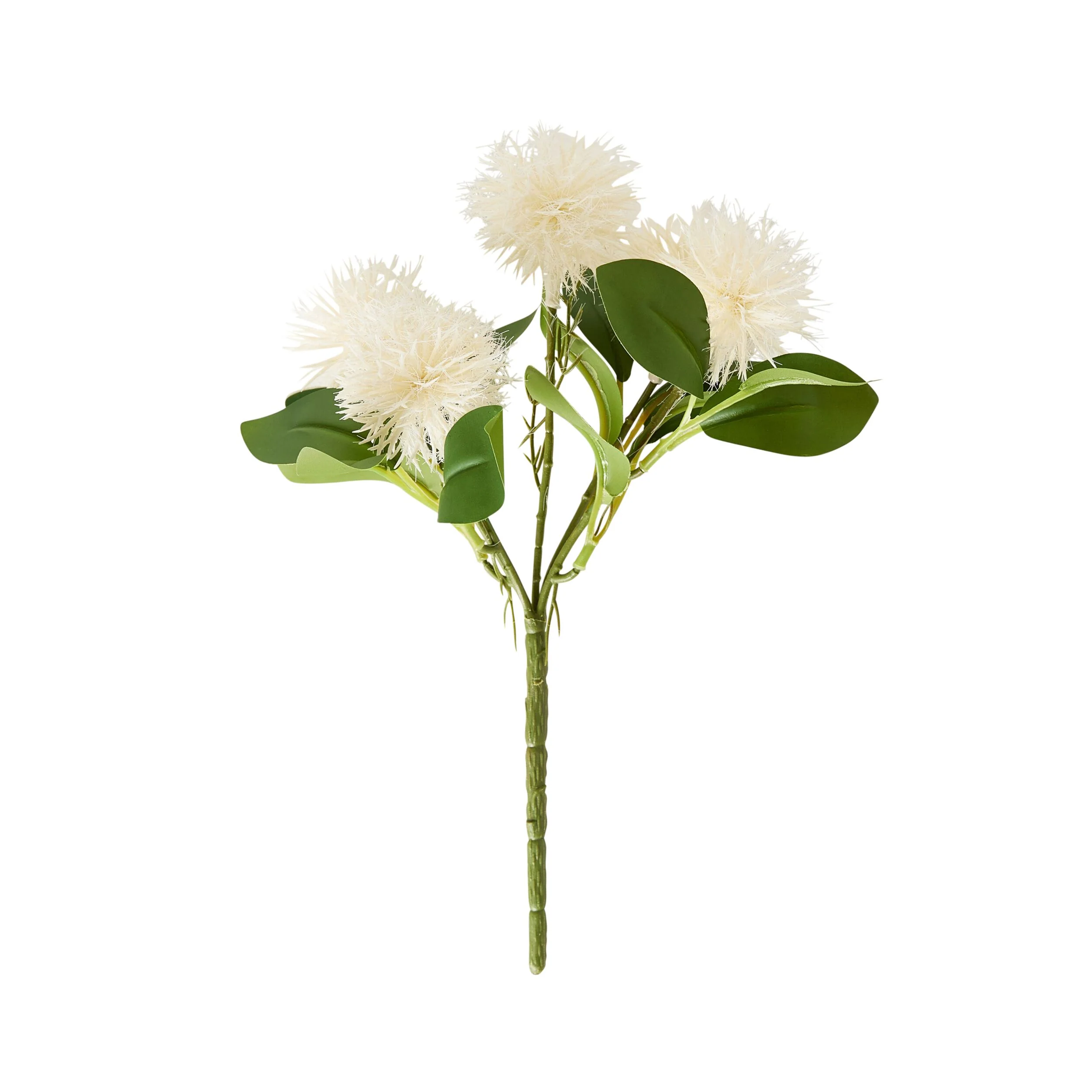 Bloomery Melaleuca Stem 25cm