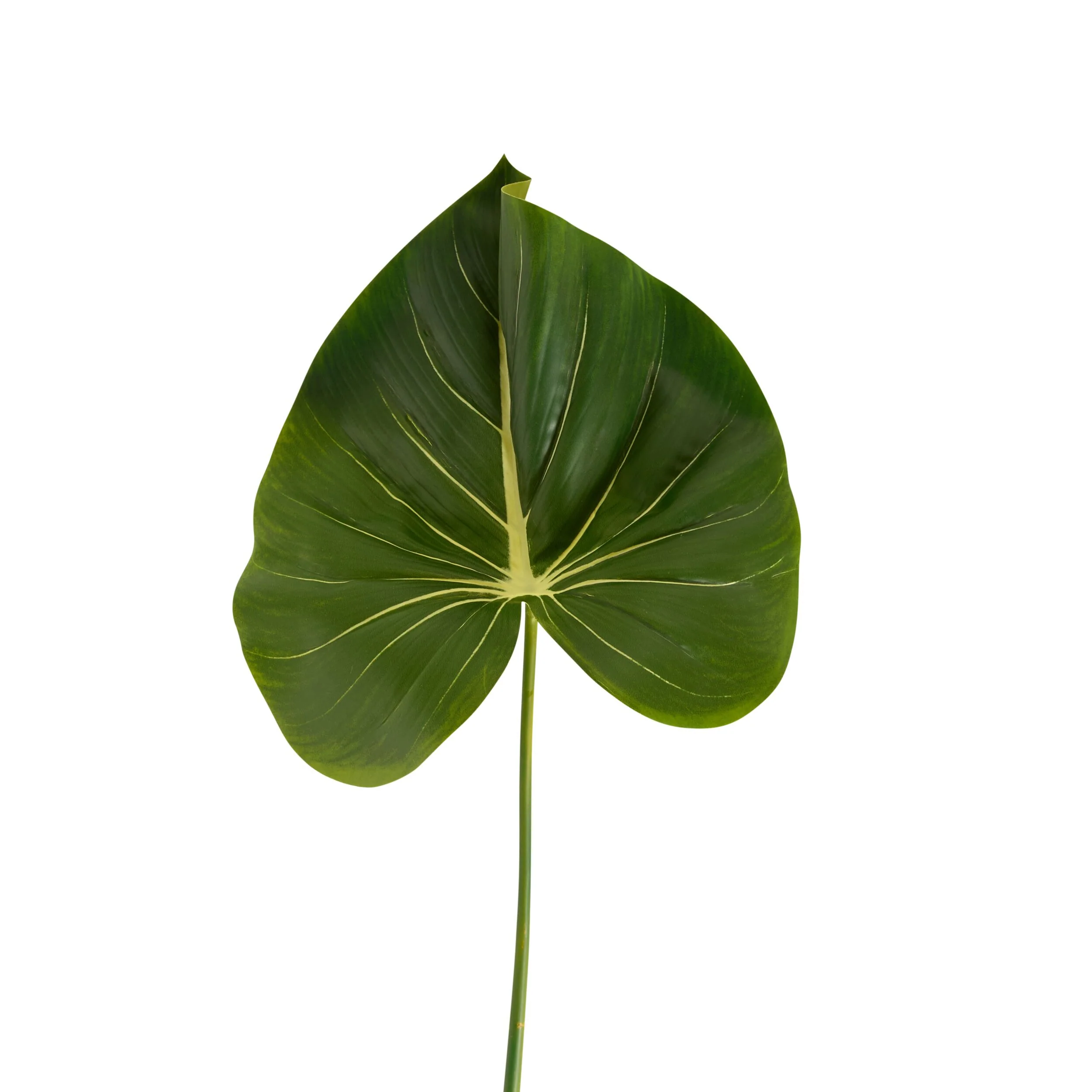 Bloomery Taro Leaf Stem 81cm