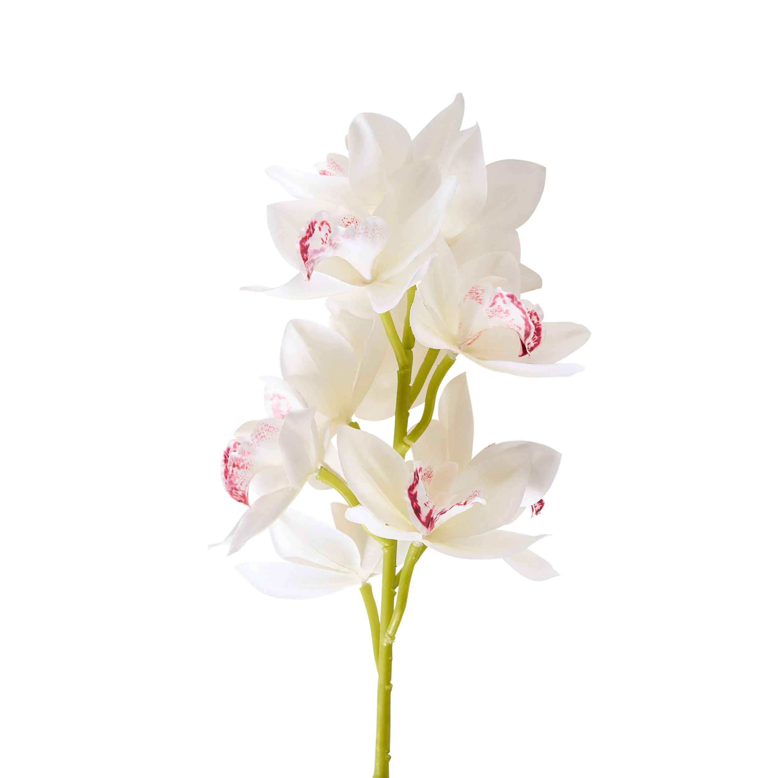 Bloomery Boat Orchid Stem White 63cm