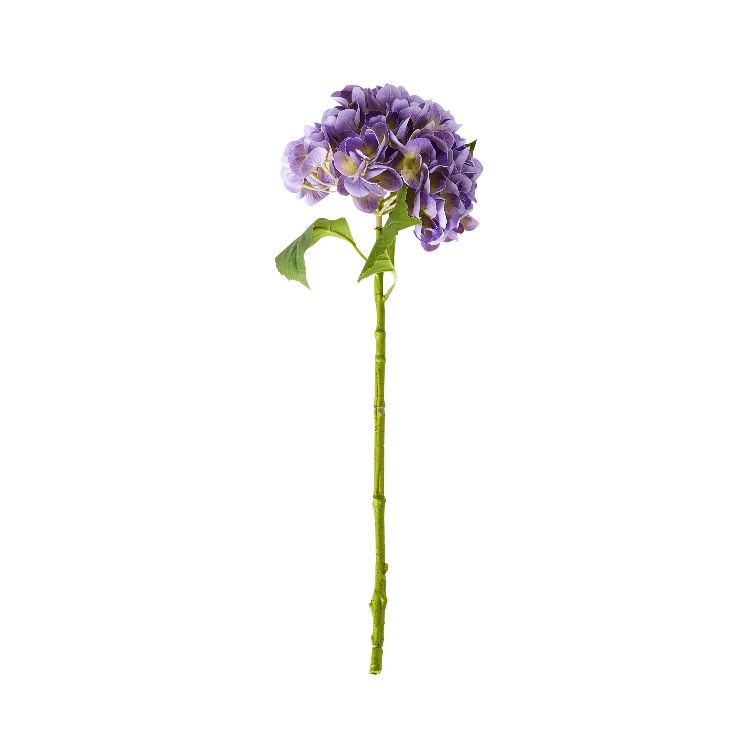 Bloomery Hydrangea Stem Purple 56cm